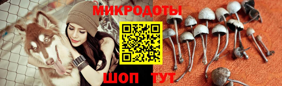 Щёлково  Галлюциногенные грибы Psilocybine cubensis  Псилоцибиновые грибы ЛСД  Вход с VPN 